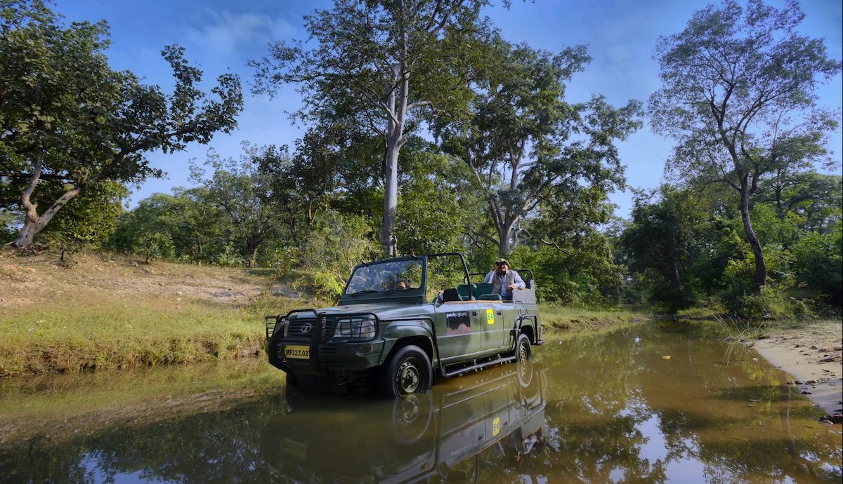 Jeep Safari at Chitwan National Park 