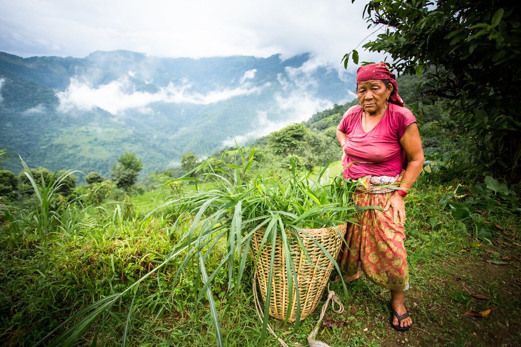 women from rural nepal with "Doko"