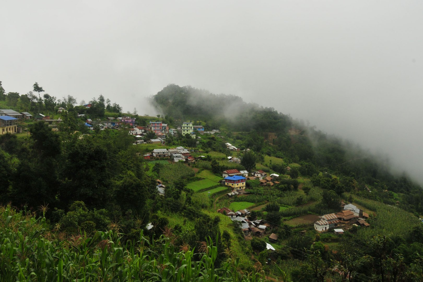 Blog image