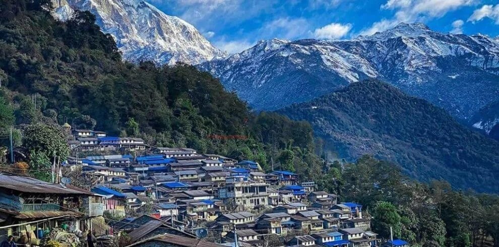 Sikles Homestay: The Complete Guide to Nepal's Quietest Gurung Village (2026)