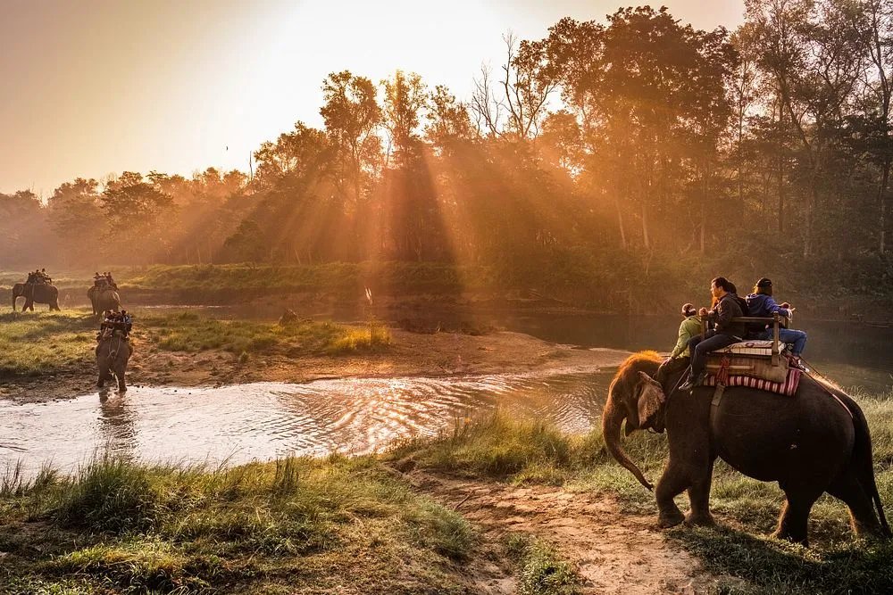 Elephant ride in Chitwan National Park