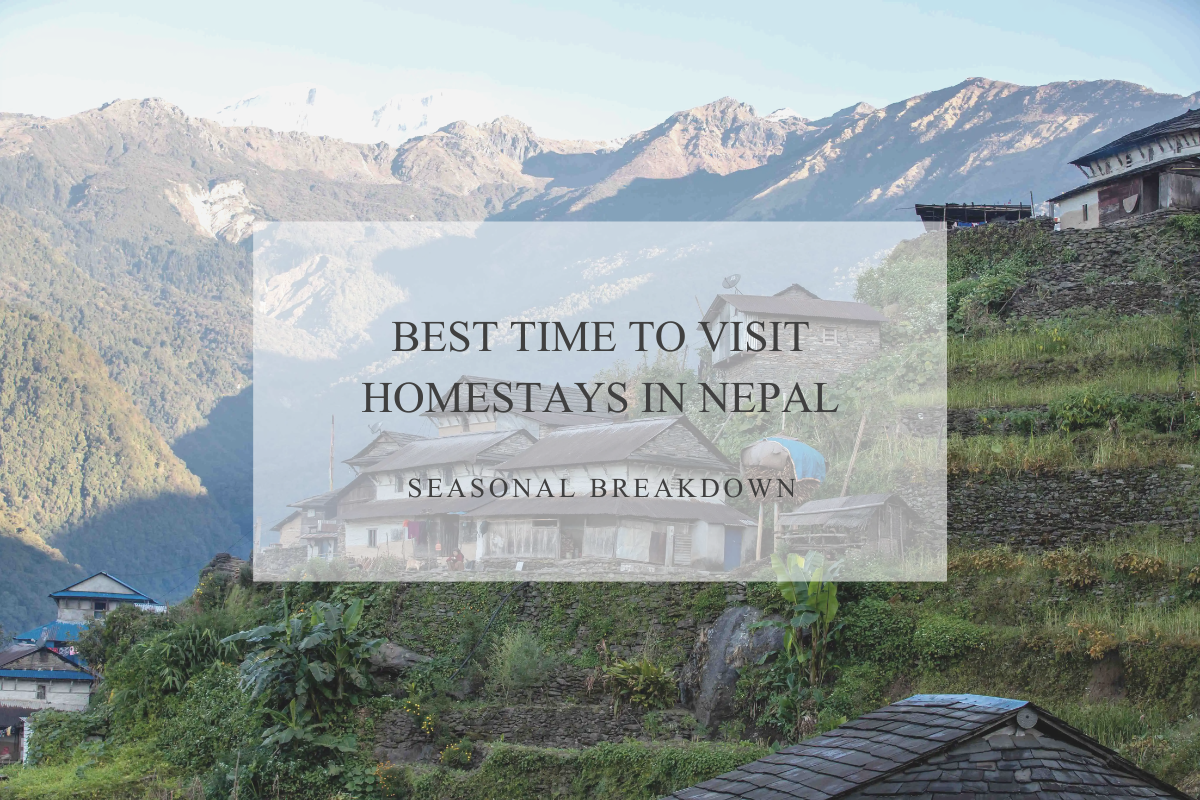 Best Time to Visit Homestays in Nepal (Seasonal Breakdown)