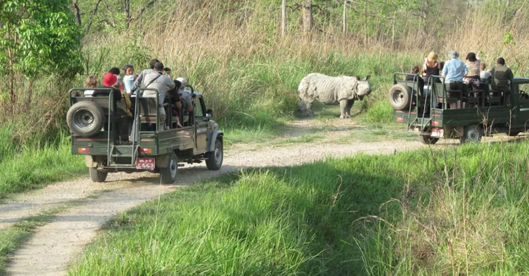 Jeep Safari at Chitwan National Park