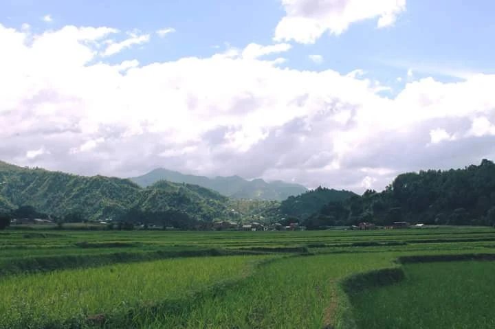 Blog image