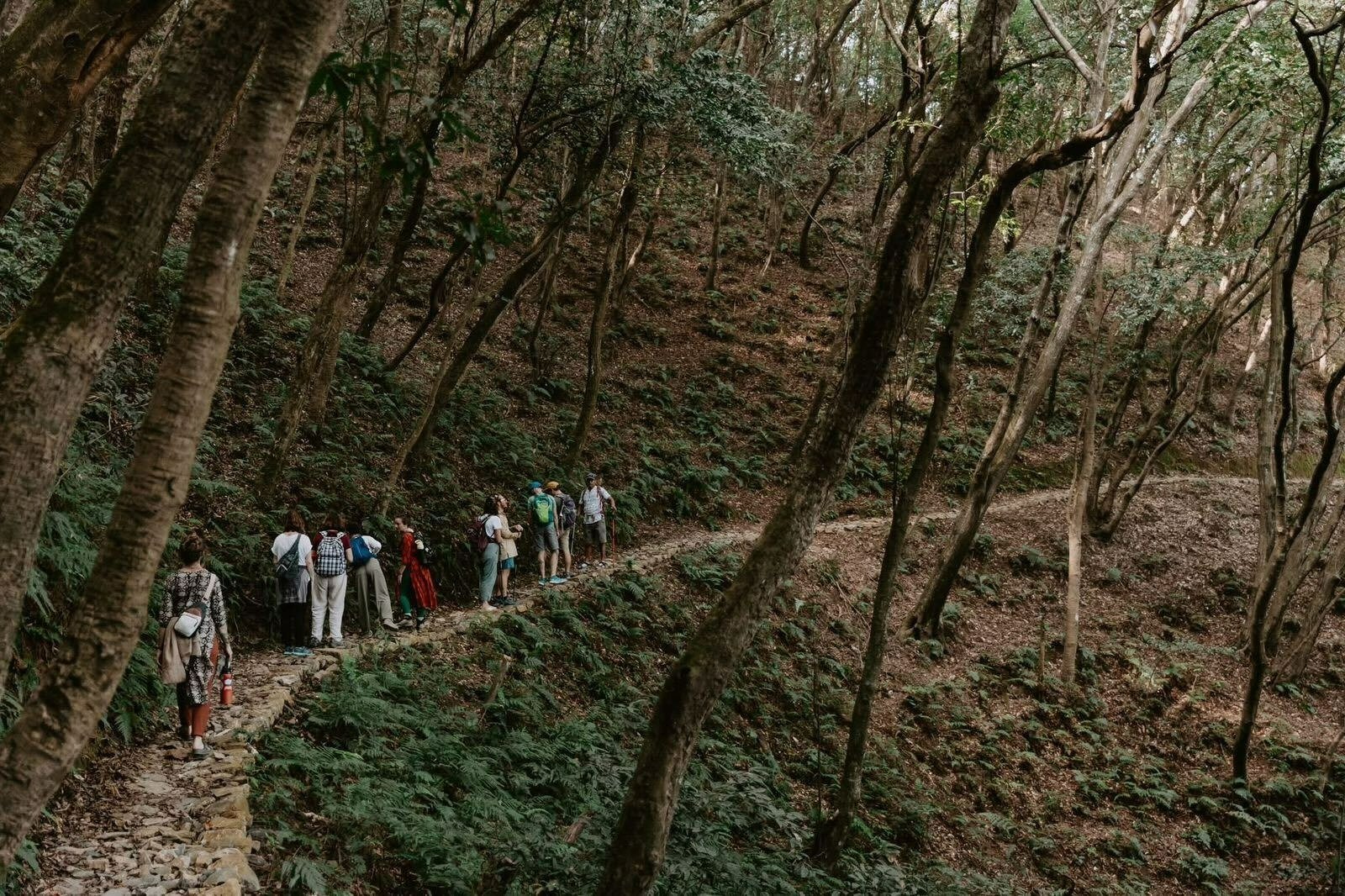hiking session at nagarkot