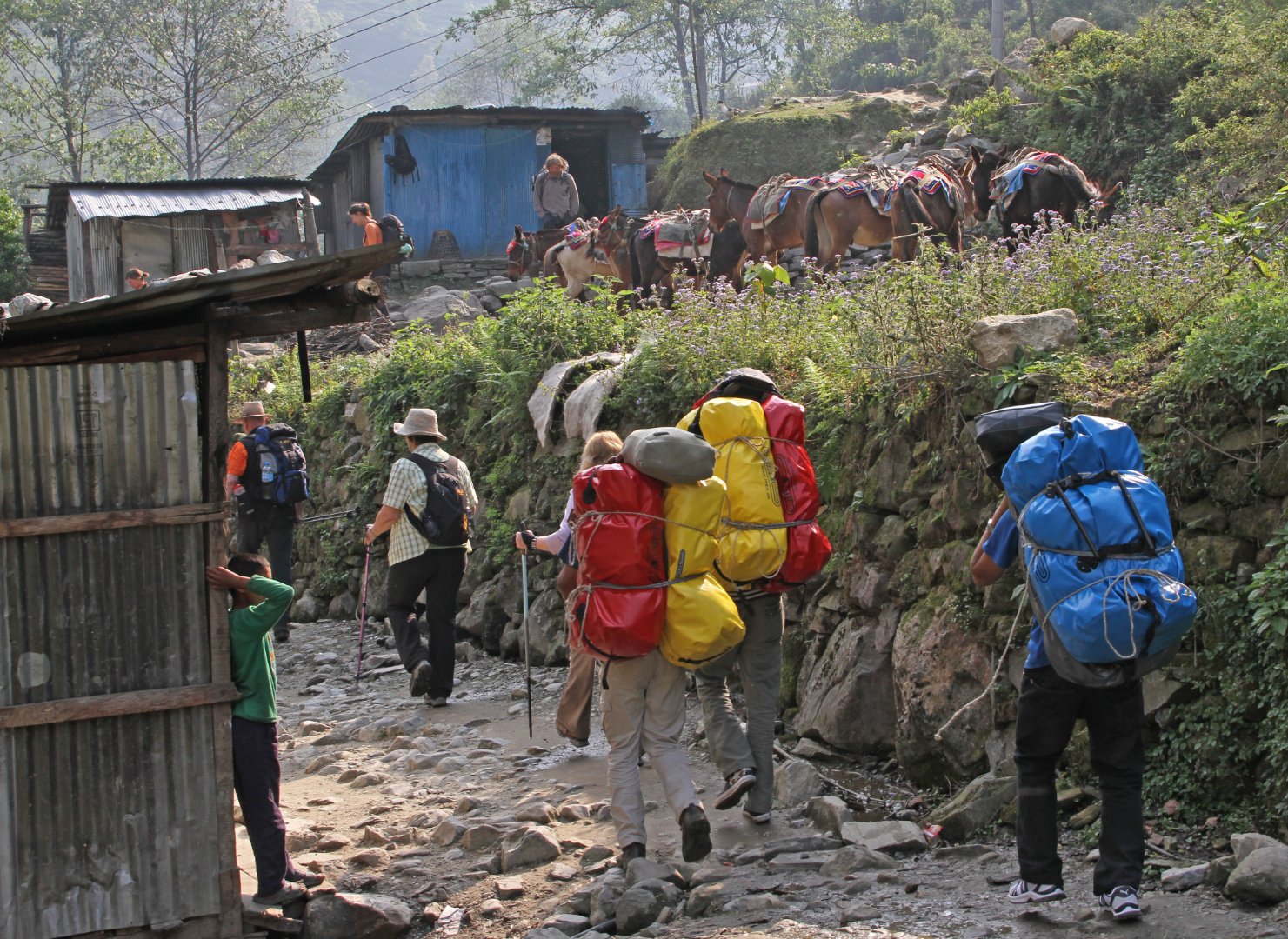 Trekkers walking through Nayapul route to Ghandruk