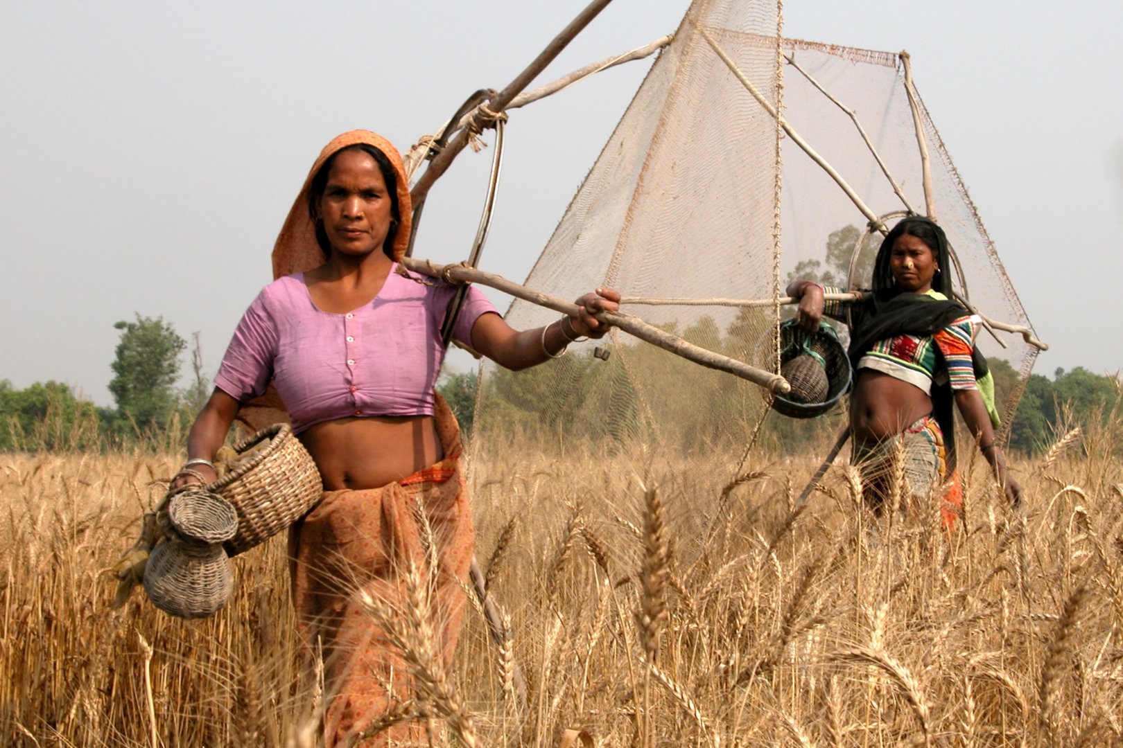 Tharu women from Bardiya