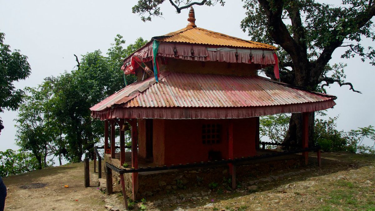 Blog image