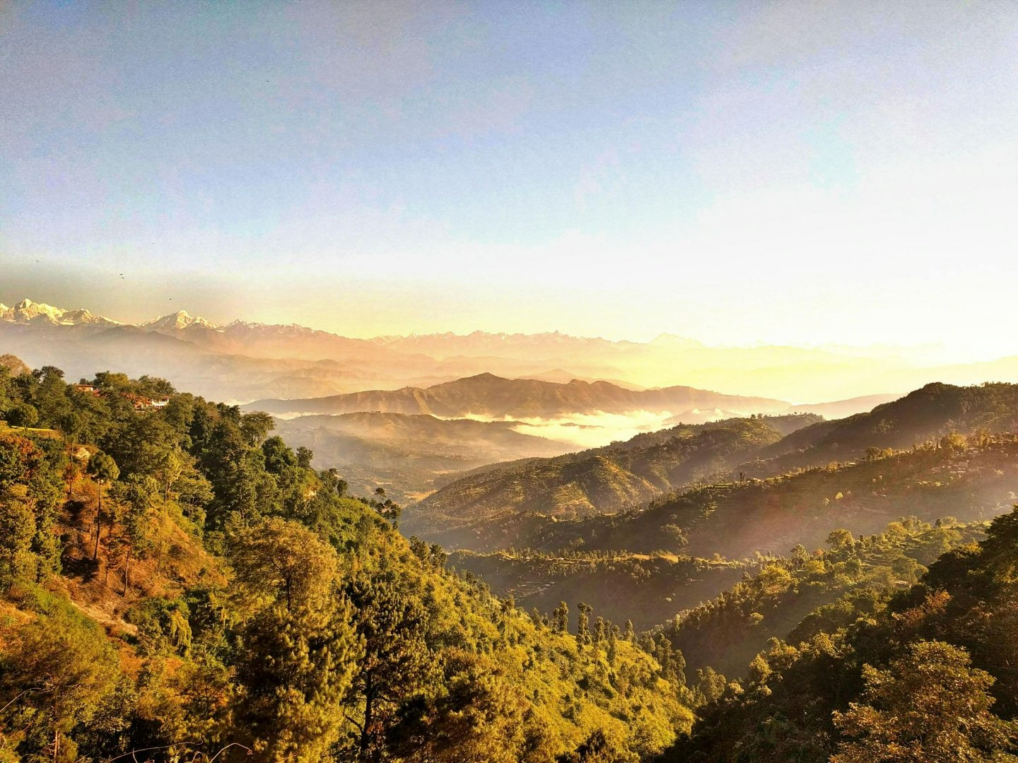 Golden sunrise light over forested Nagarkot ridgeline with Himalayan peaks and valley mist.