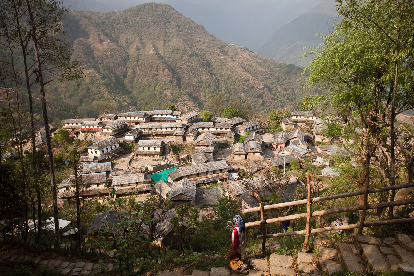 The trekking trail to Ghandruk village through rice terraces