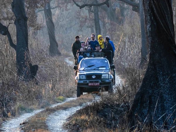 Jeep Safari at Bardiya National Park