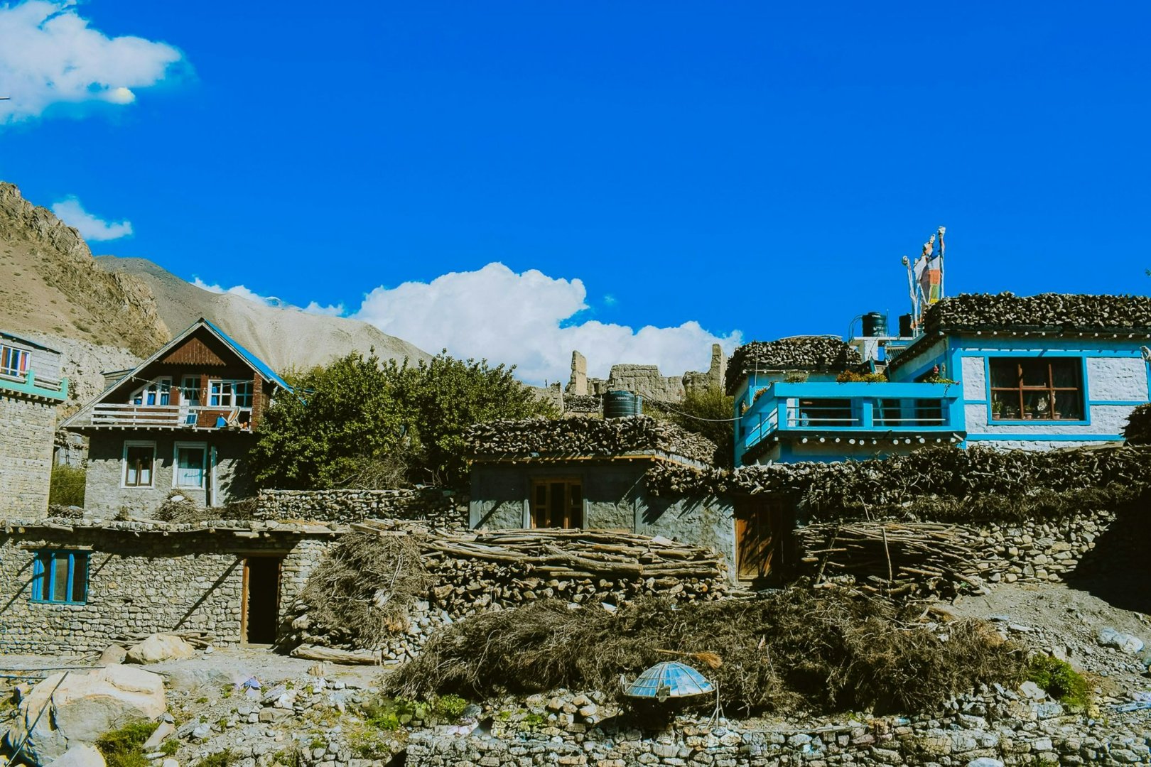 Blog image