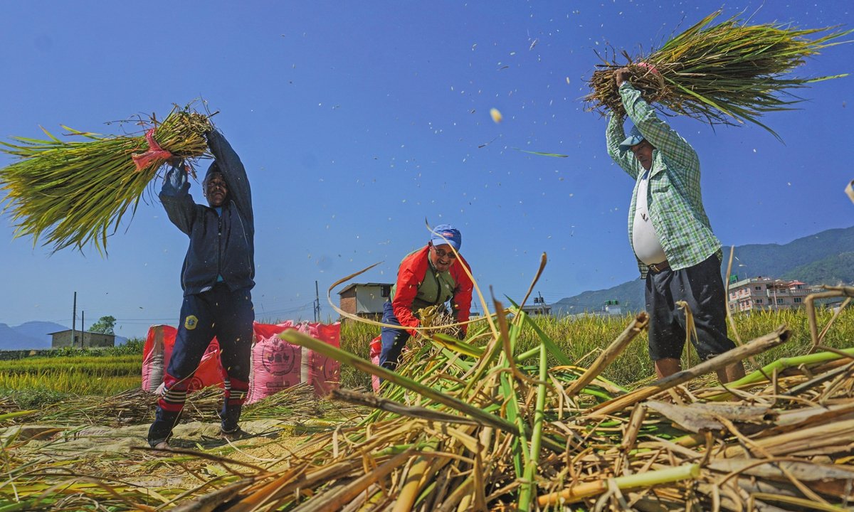 Harvesting in rural Nepal