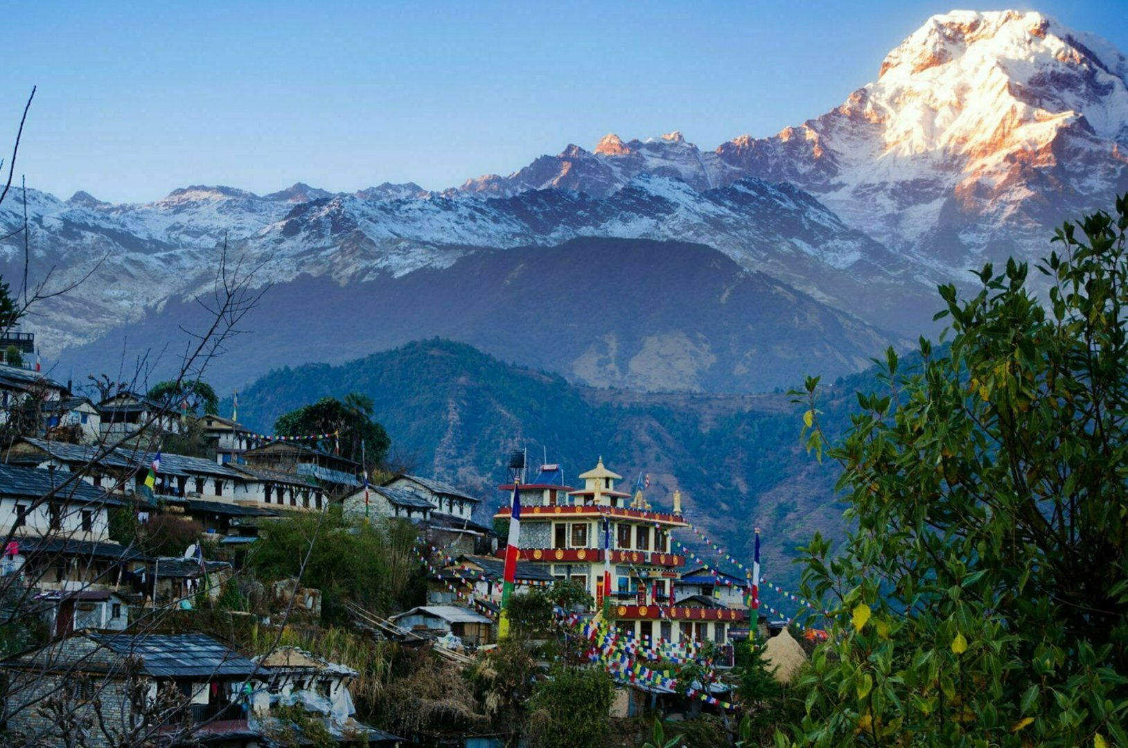 Nepali Homestay Food by Region: A Traveler's Guide (2026)