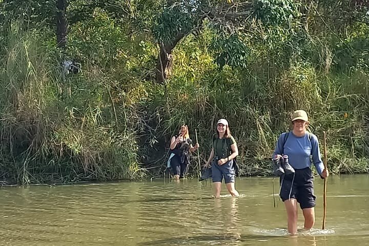 Walking jungle safari at Bardiya National Park