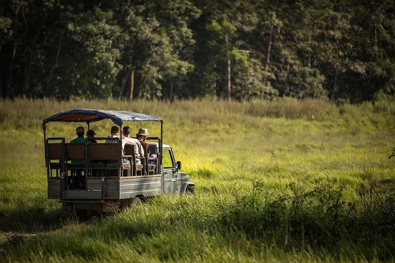 Jeep Safari at Chitwan National Park