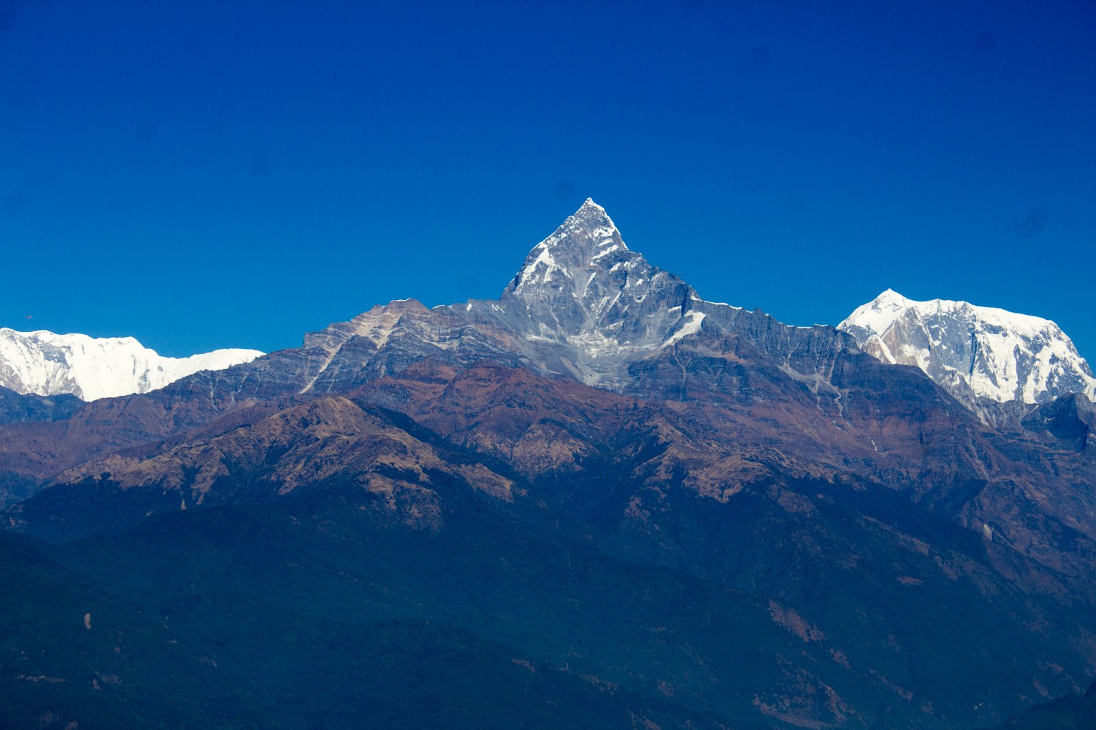 Machhapuchhre (Fishtail) glowing above Pokhara Valley