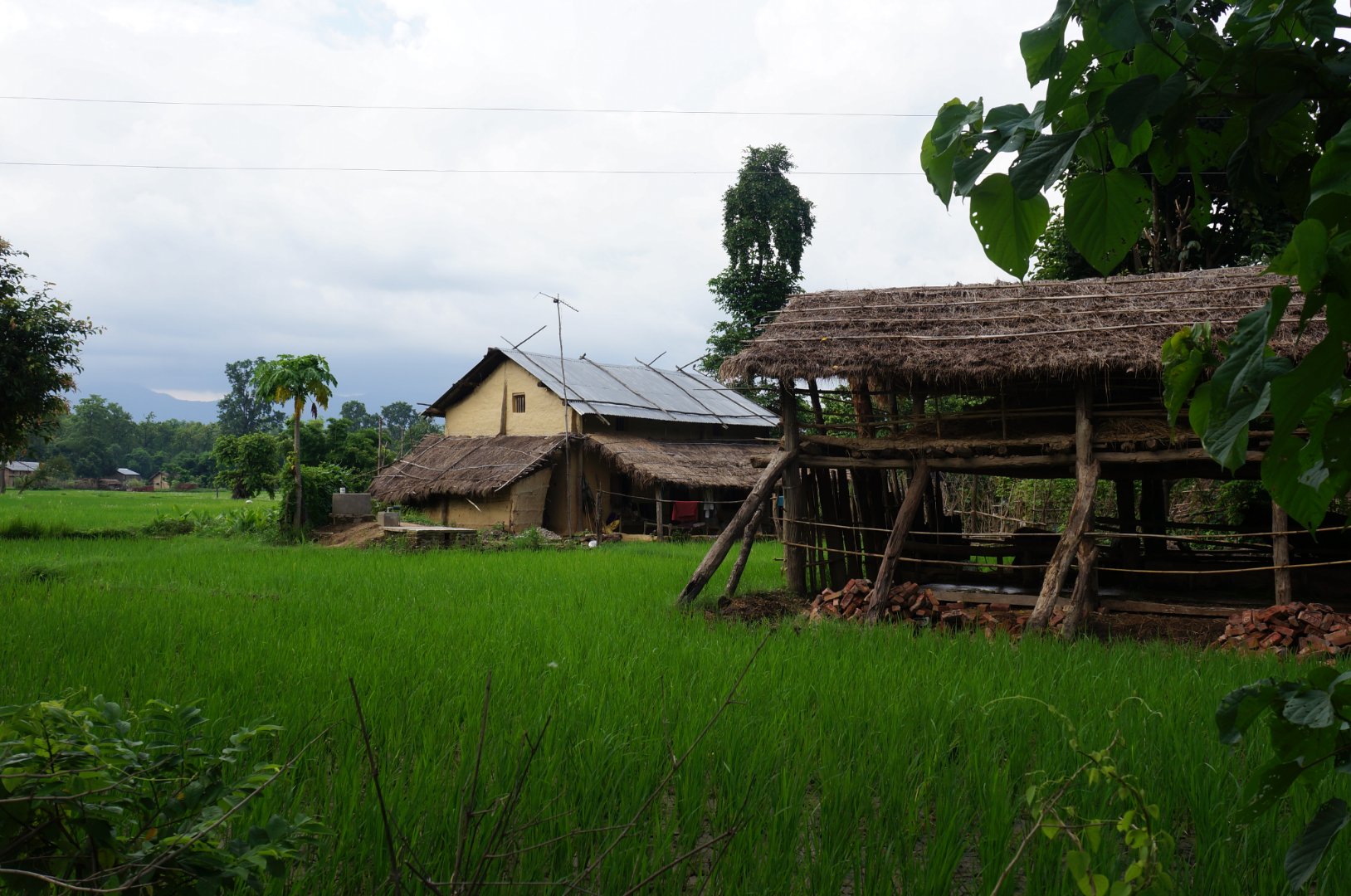 Tharu home at Bardiya