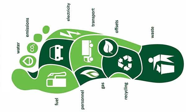 The Basics of a Carbon Footprint